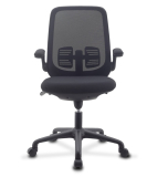 ICA-CT ARMDL-BK-ICIN_2